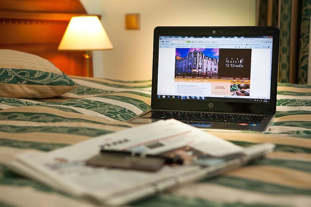 U DIVADLA HOTEL photo5