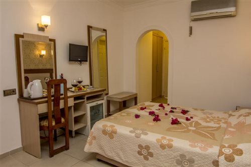 Room, Double or Twin Bed
