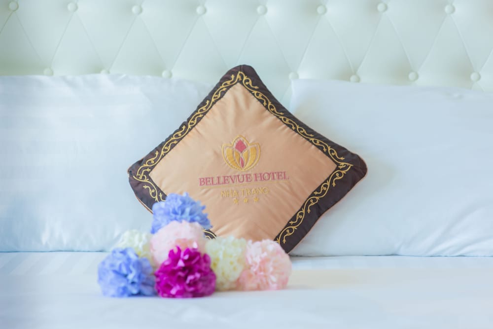 Bellevue Hotel photo3