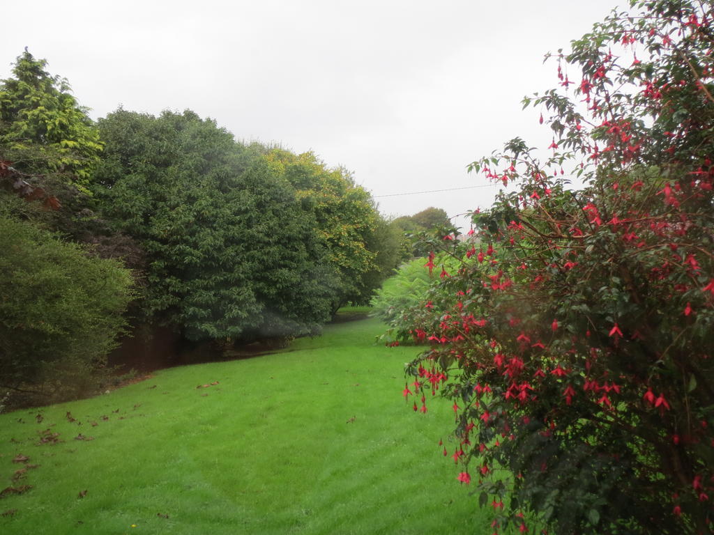 Abbey View 17/20