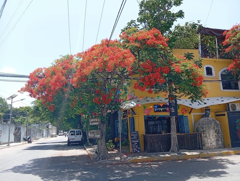 Maison Tulum 64/72
