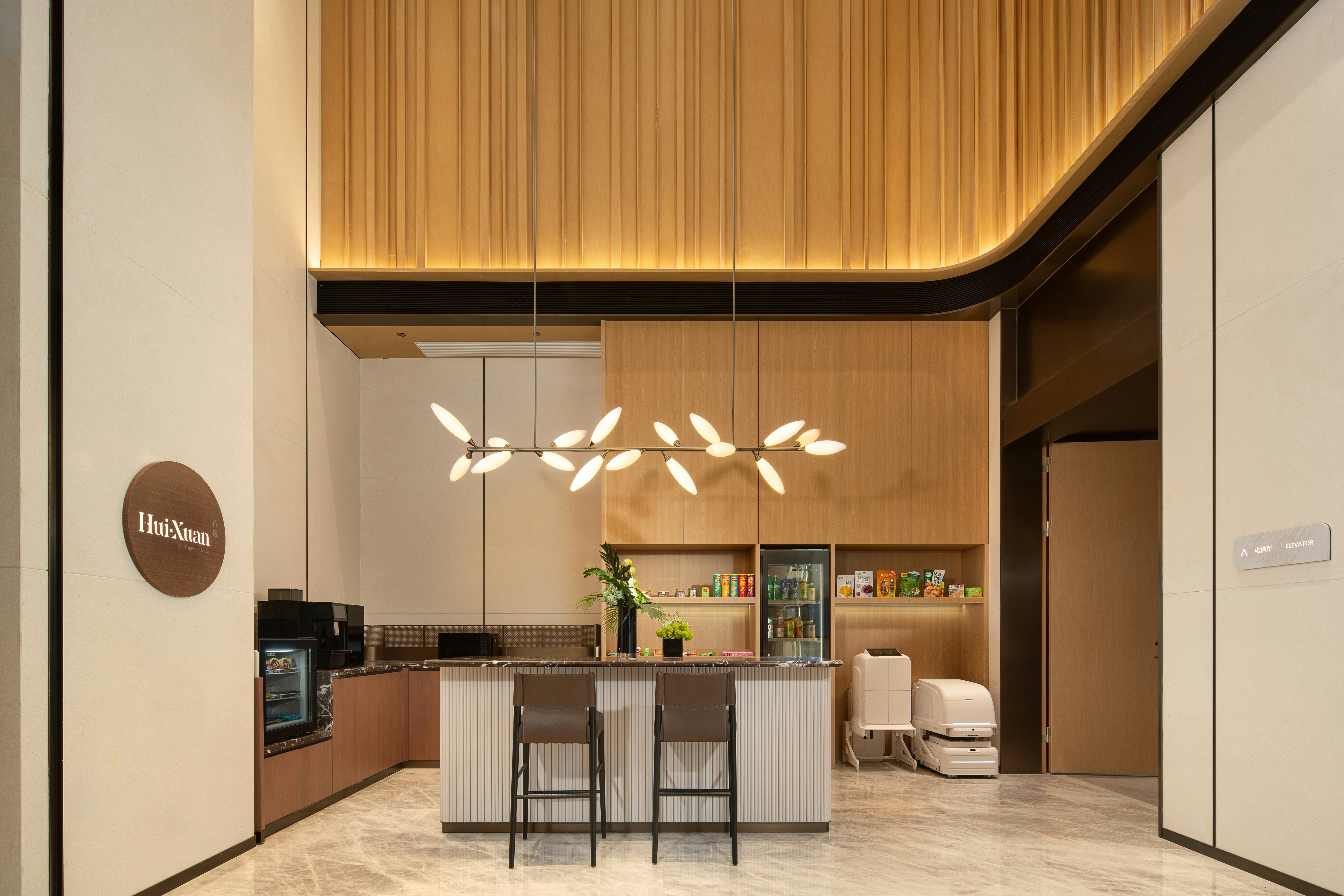 Hilton Garden Inn Shenzhen Pingshan Chaoshang Plaza 13/39