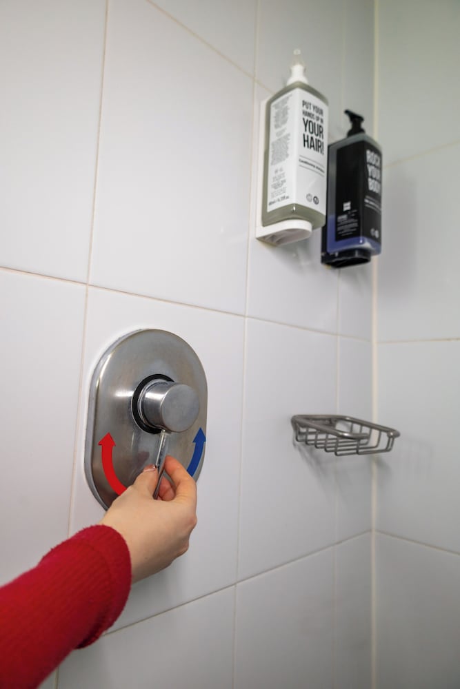 Ibis Chihuahua 24/50