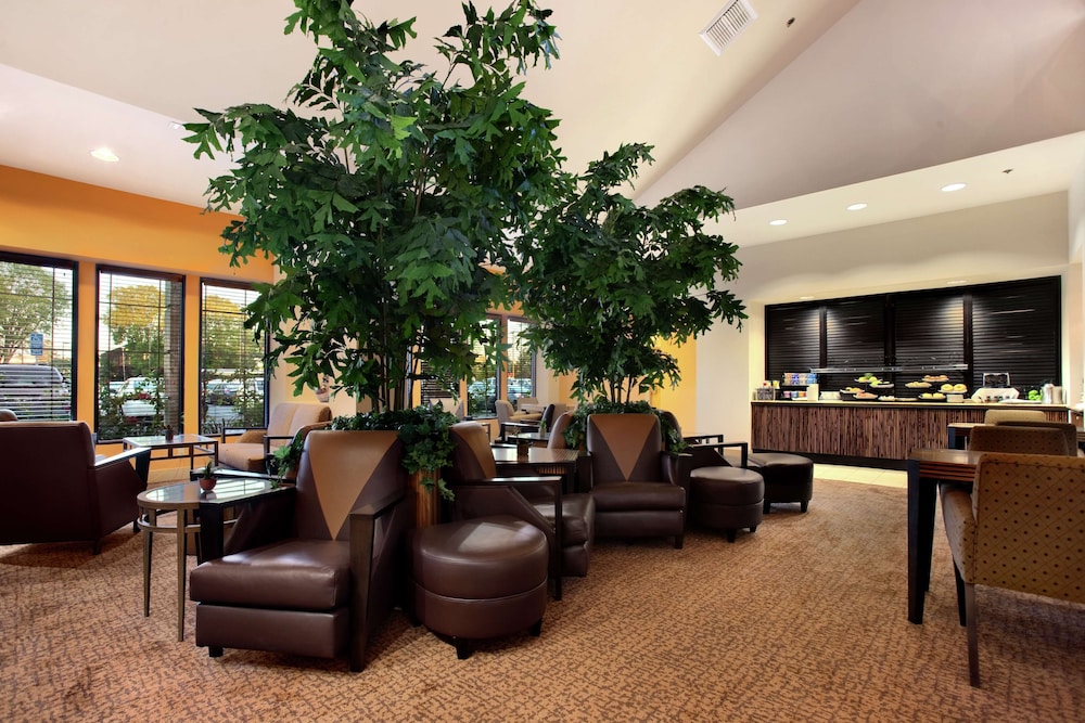 Hilton Stockton 33/51