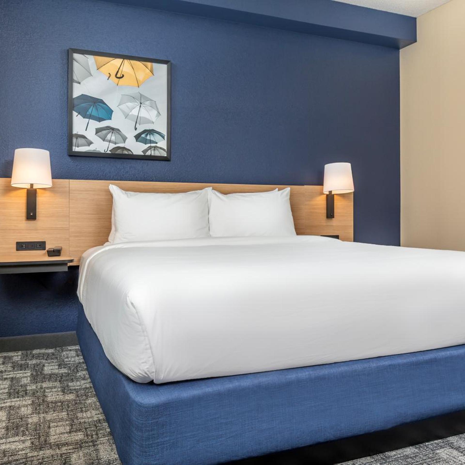 Room, King Bed, Partial View, Sofa, Kitchenette