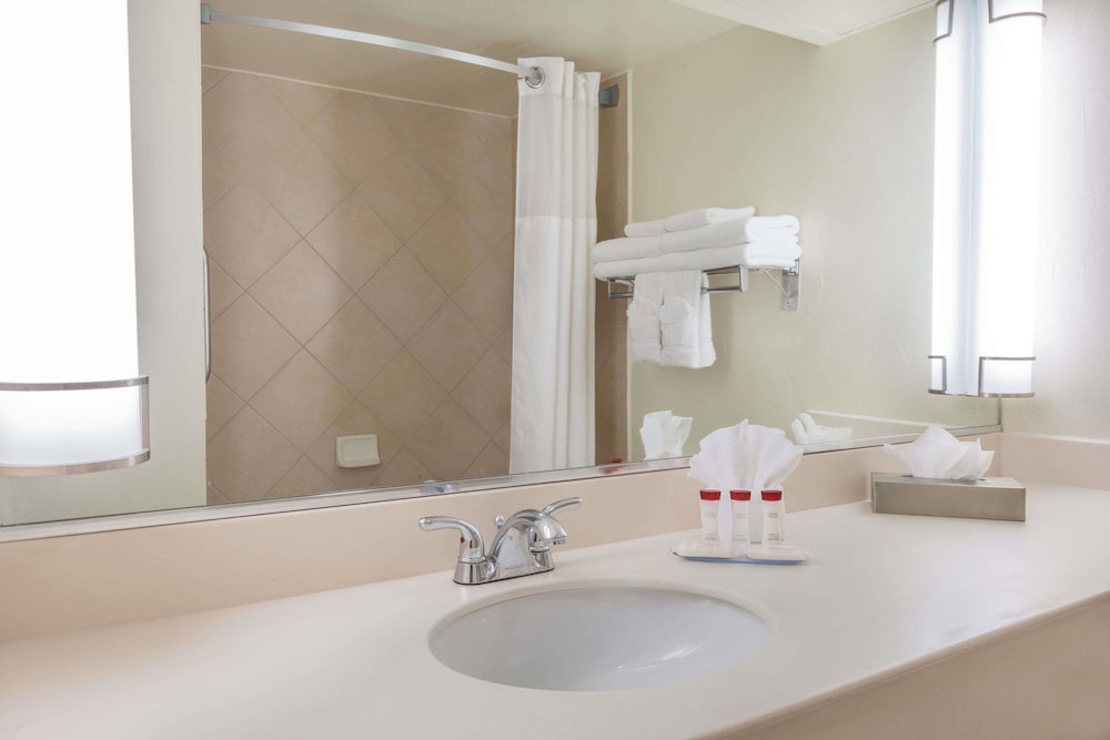 Ramada by Wyndham Las Cruces Hotel & Conference Center 10/37