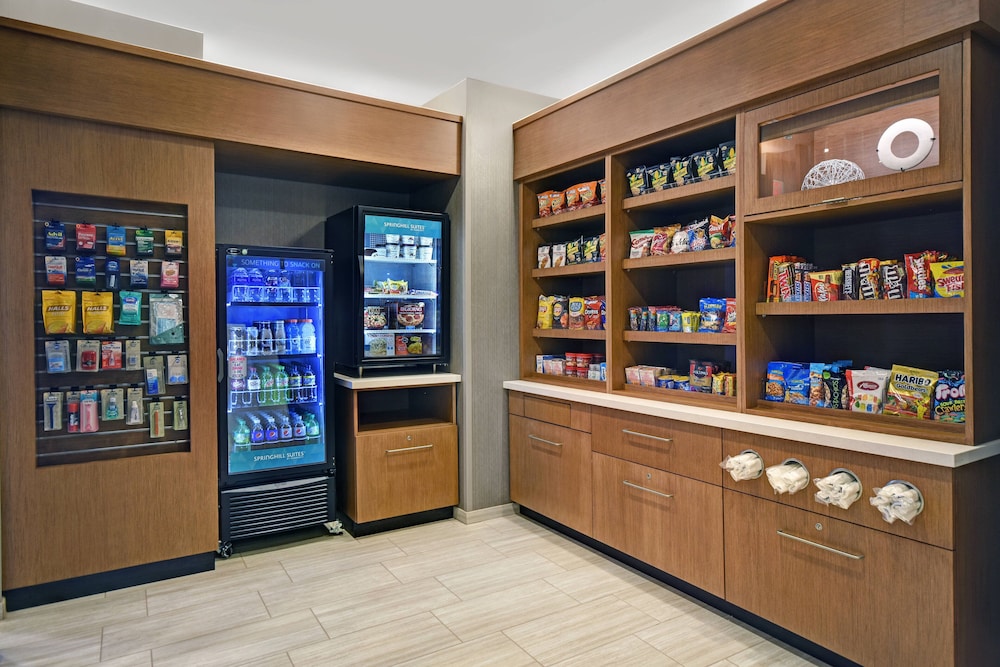 SpringHill Suites by Marriott St. Paul Arden Hills 12/52