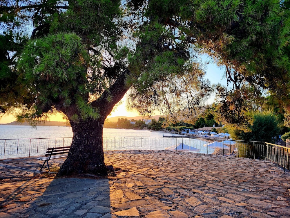 Paradise Resort Evia - A Member of Radisson Individuals 29/42