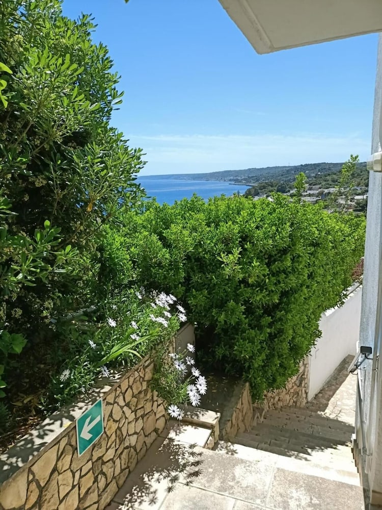 Degli Ulivi 50/51