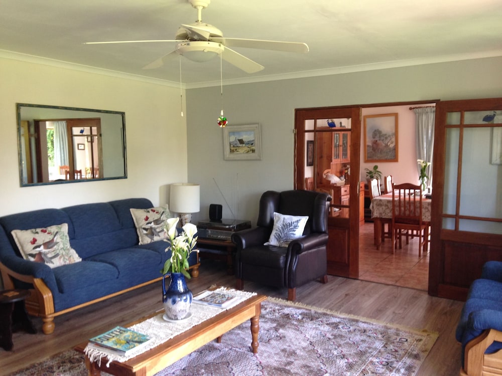 Blue Fern of Knysna 17/50
