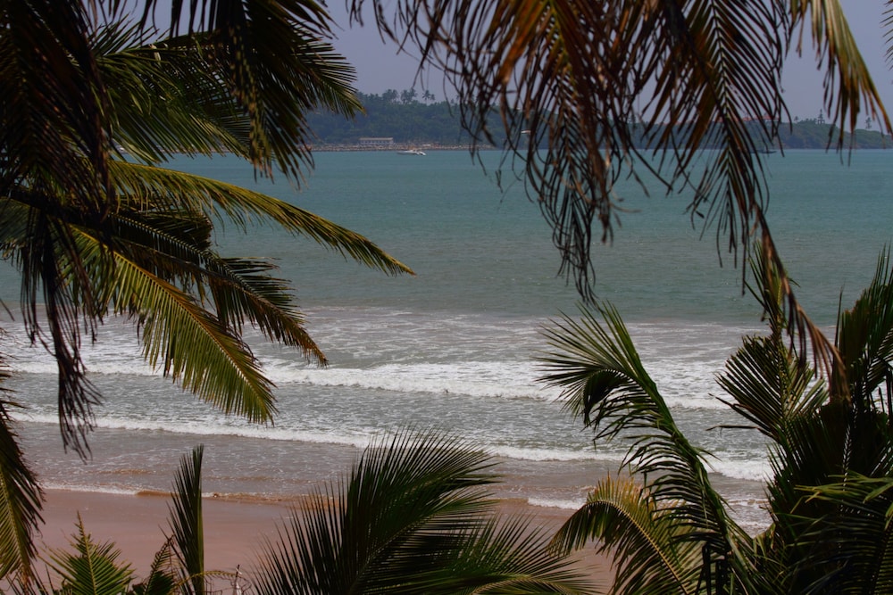 Jaga Bay Resort 50/50