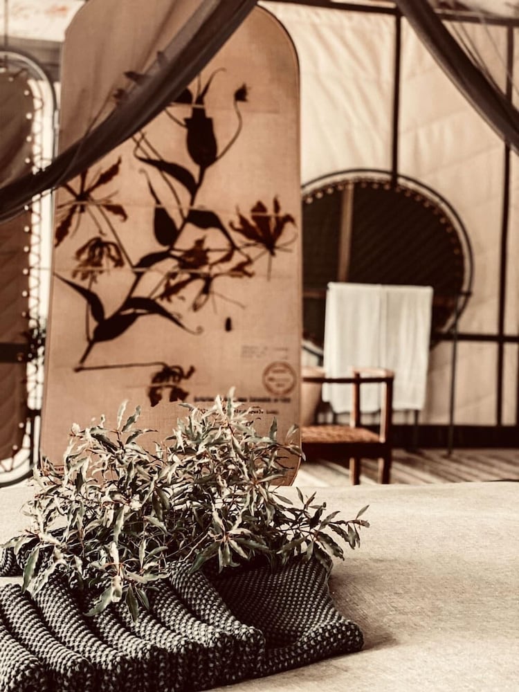 Thornybush Saseka Tented Camp 4/50