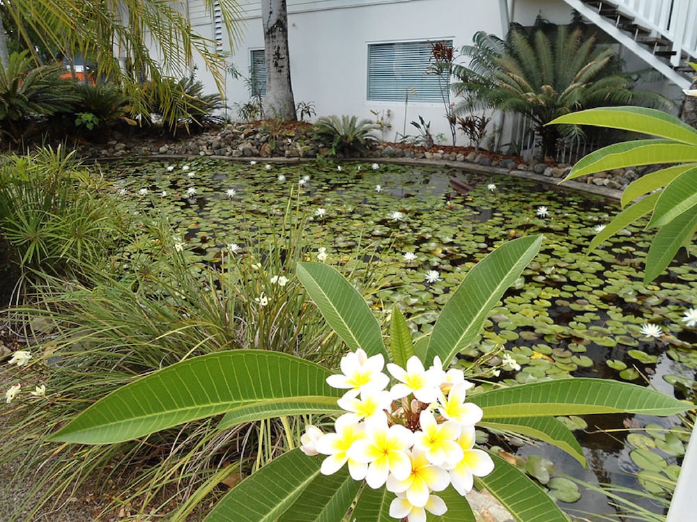 Best Western Mango House Resort 29/32