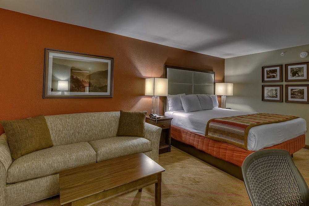La Quinta Inn Suites Pigeon Forge 52/64