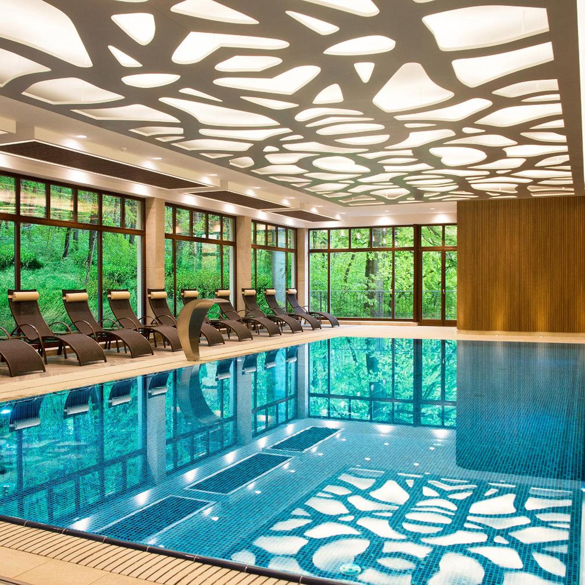 Svoboda Ensana Health Spa Hotel 35/60