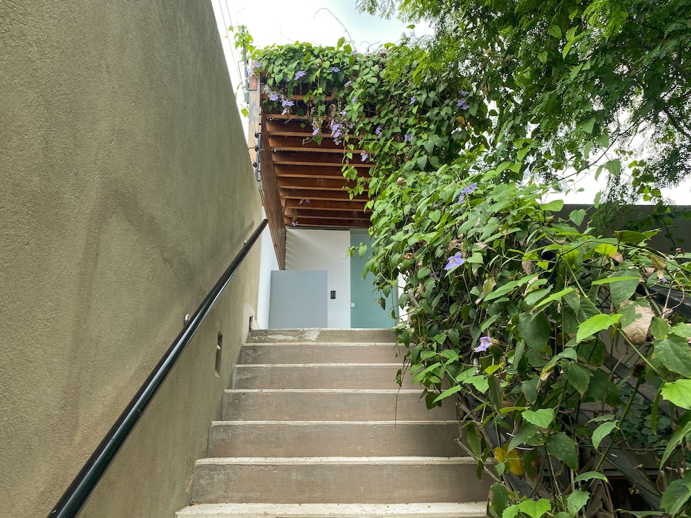 Casa Charlotte Alma Hotels 写真4