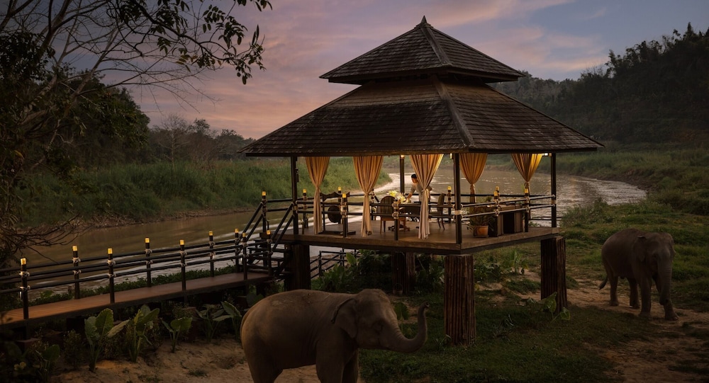 Anantara Golden Triangle Elephant Camp Resort 4/82