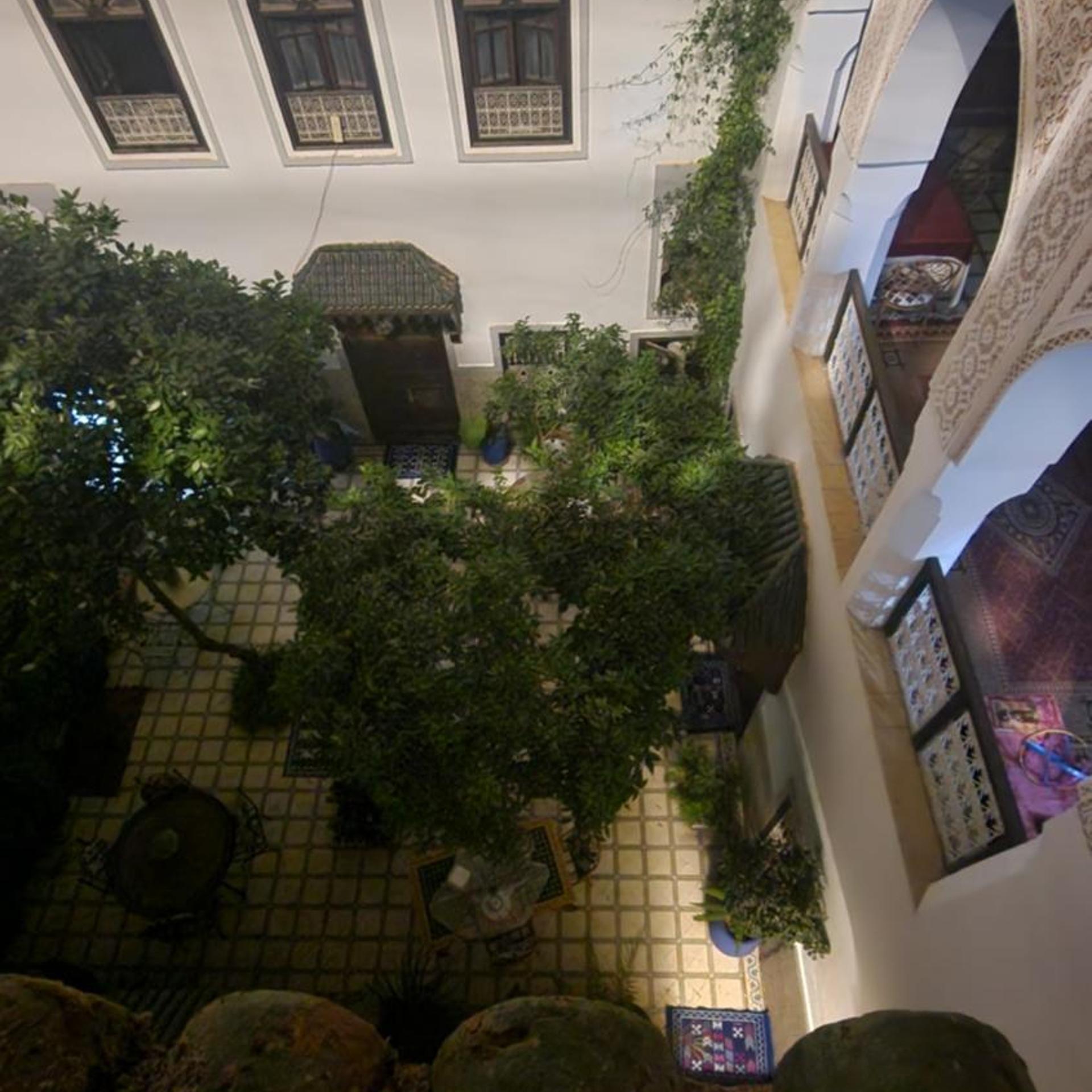 RIAD DALIA 42/43
