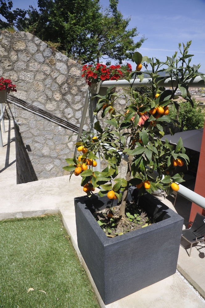B&B Via Delle 5 Terre 41/47