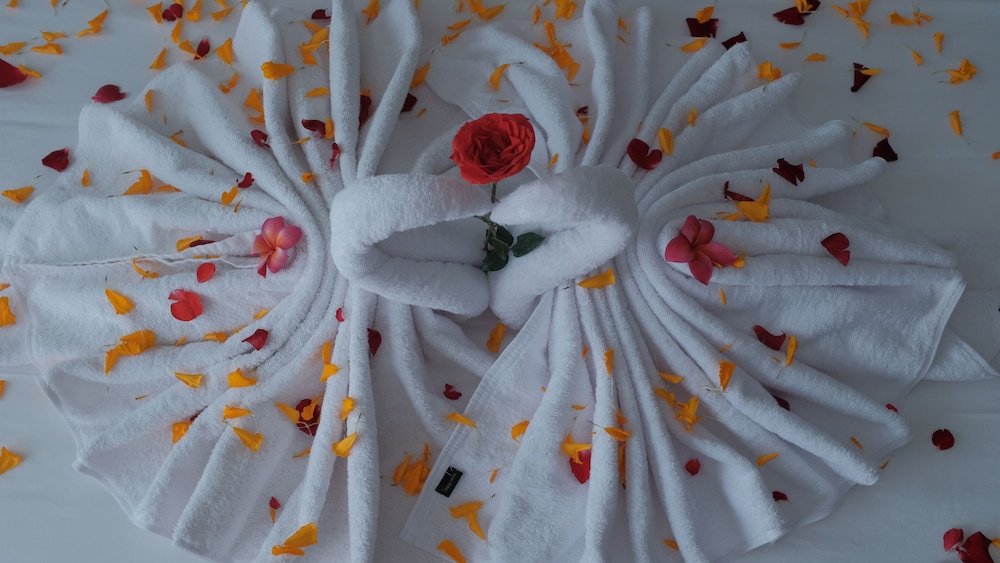 Ubud Diary 23/50