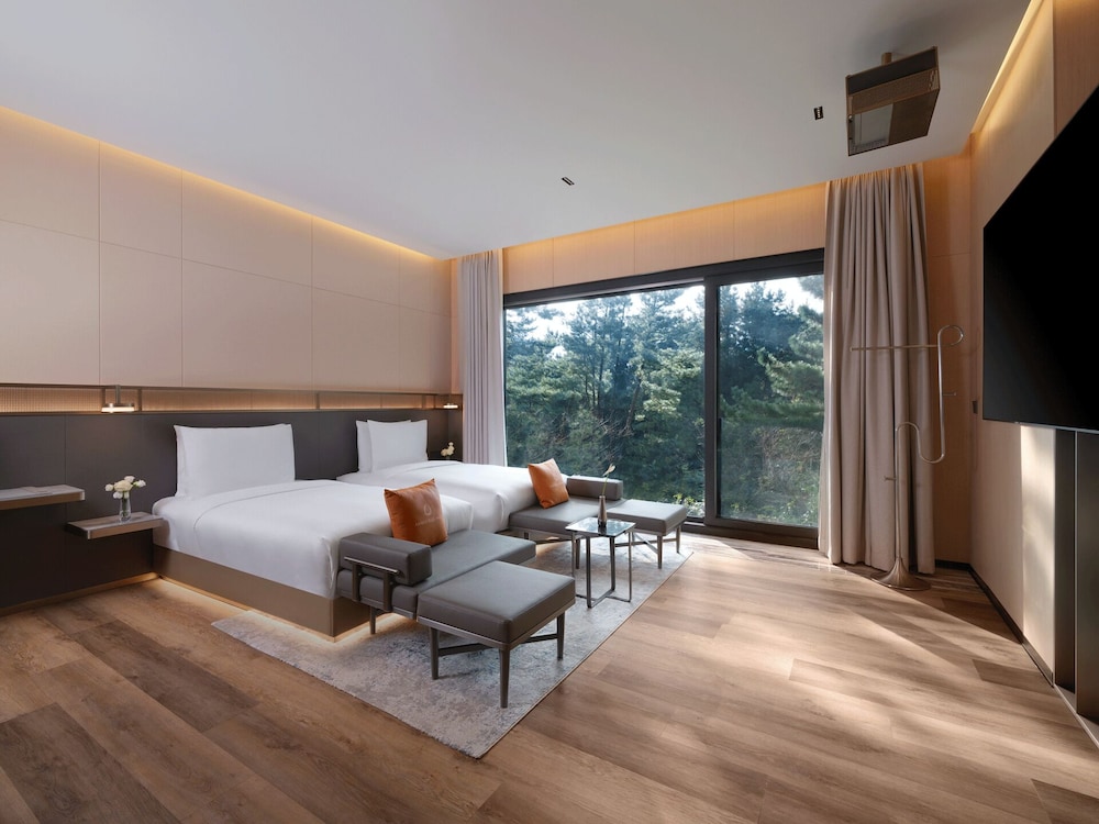 Amber Purehill Hotels & Resorts Jeju 24/50