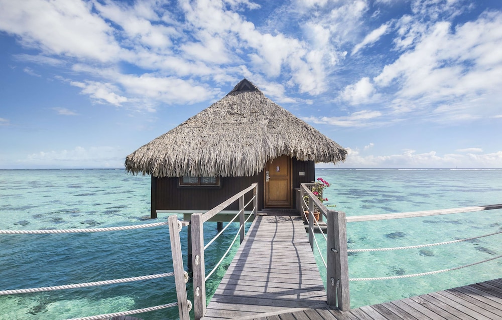 Hilton Moorea Lagoon Resort and Spa 18/81