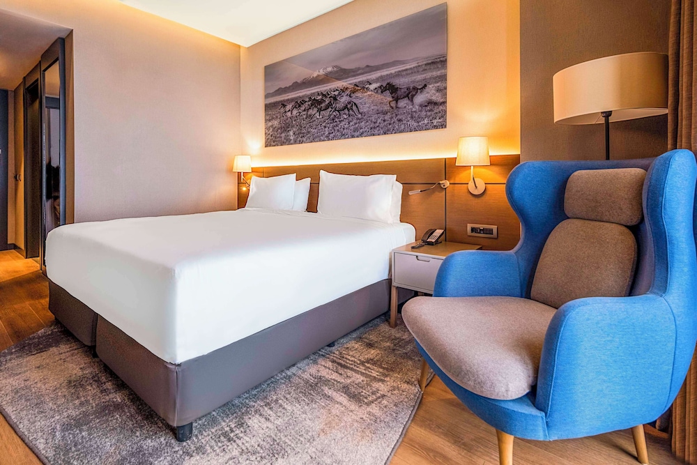 Radisson Blu Hotel, Mount Erciyes 20/31