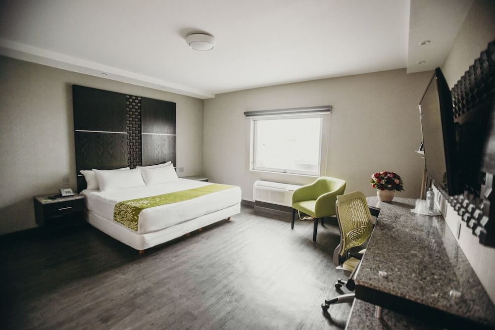 Hotel Araiza San Luis 28/74