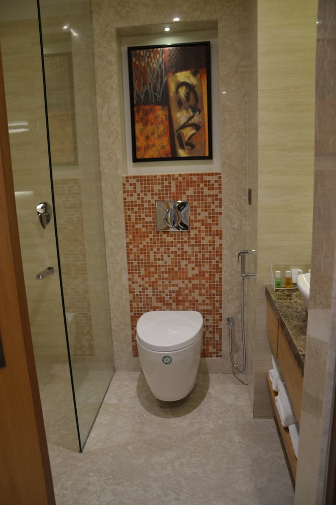 Best Western Plus Indore 14/48