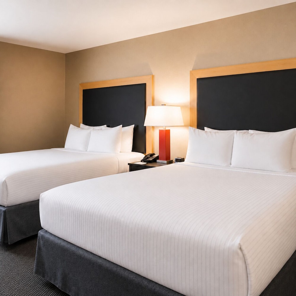 Suite, 2 Queen Beds, Sofa, Accessible