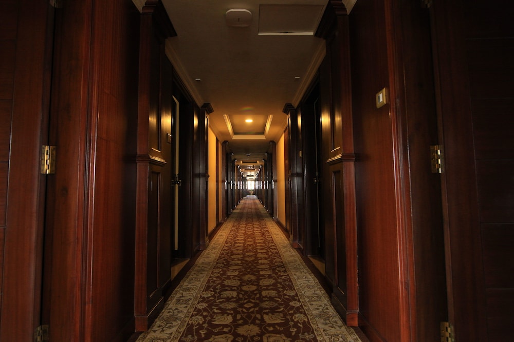 Hotel Dynasty 44/46