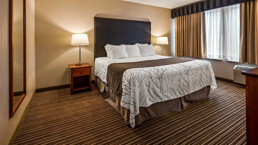 Best Western Park Oasis Inn 19/34