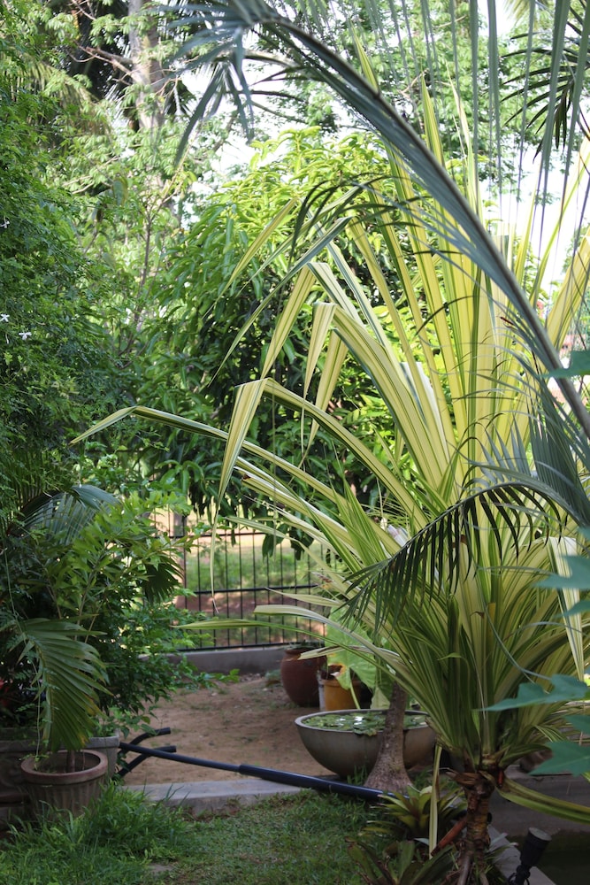 Kapuru Hotel Villa 26/36