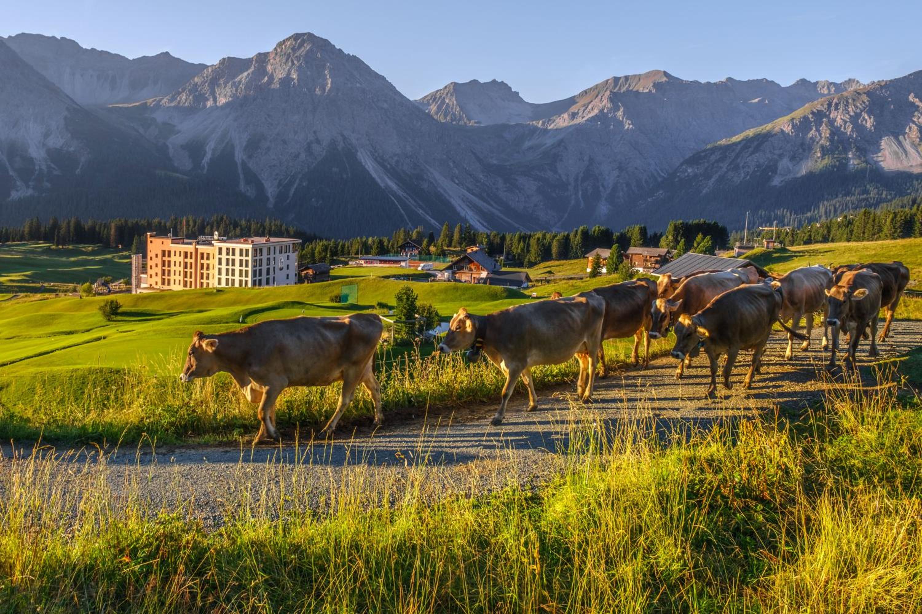Golf & Sporthotel Hof Maran 45/50