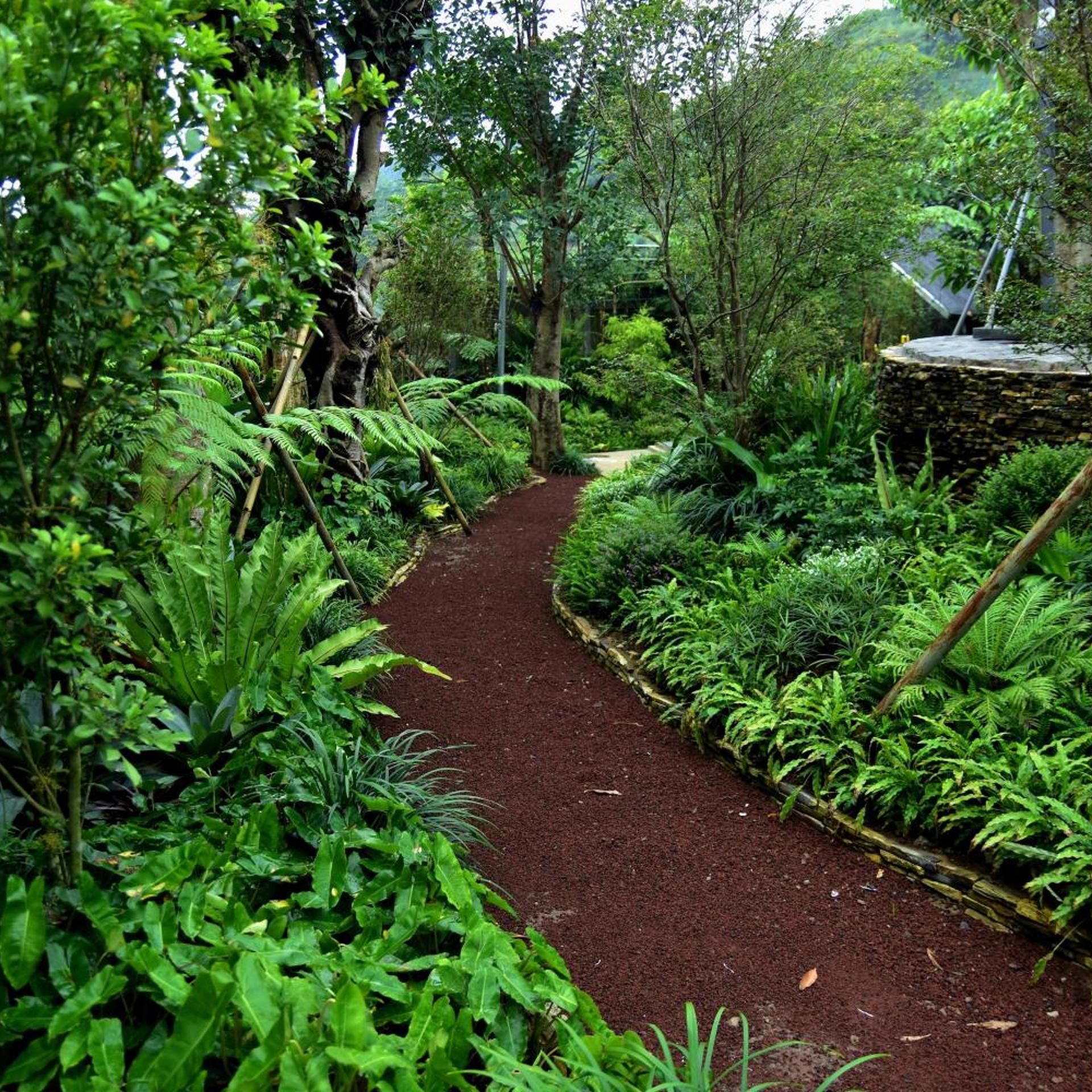 Sarga Earthing Resort 46/50