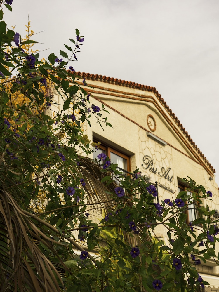 Peri Art Hotel 6/43