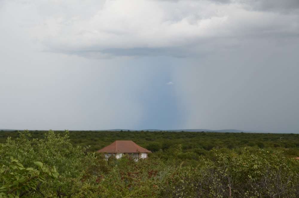 Etosha Safari Lodge 59/63