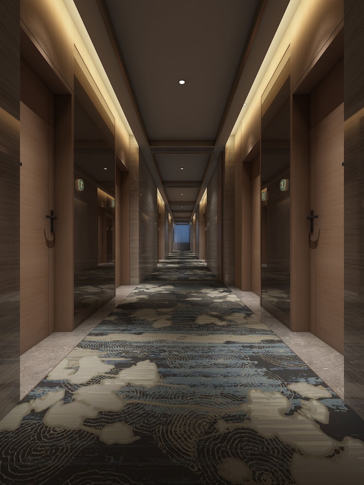 Buddy Hotel 26/50