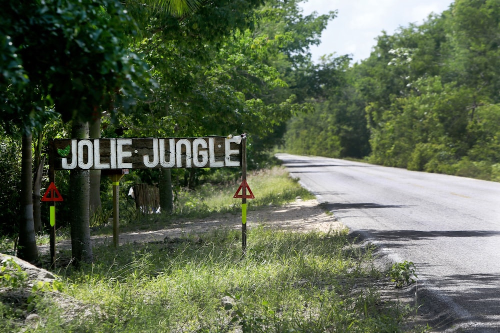 Jolie Jungle 63/68