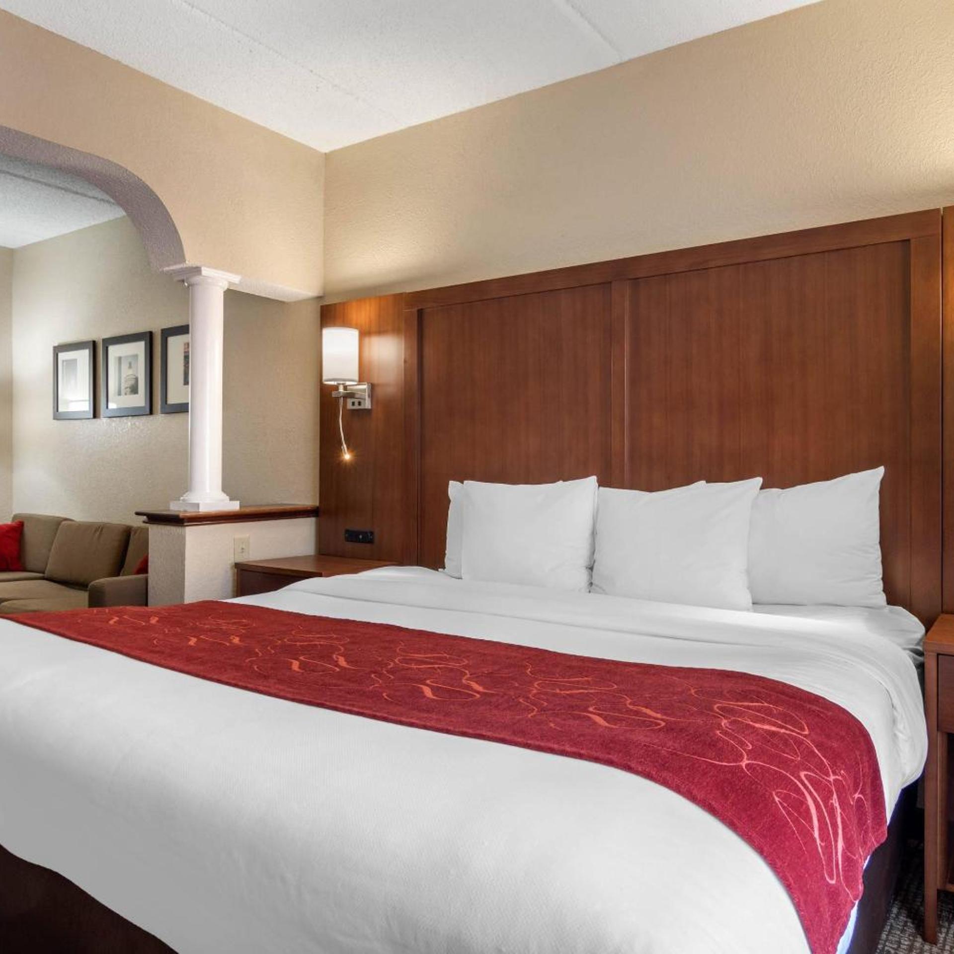 Room, King Bed, Sofa