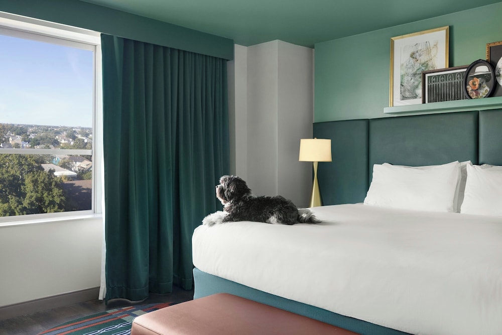 Hotel Tonnelle New Orleans, A Tribute Portfolio Hotel By Marriott 15/49