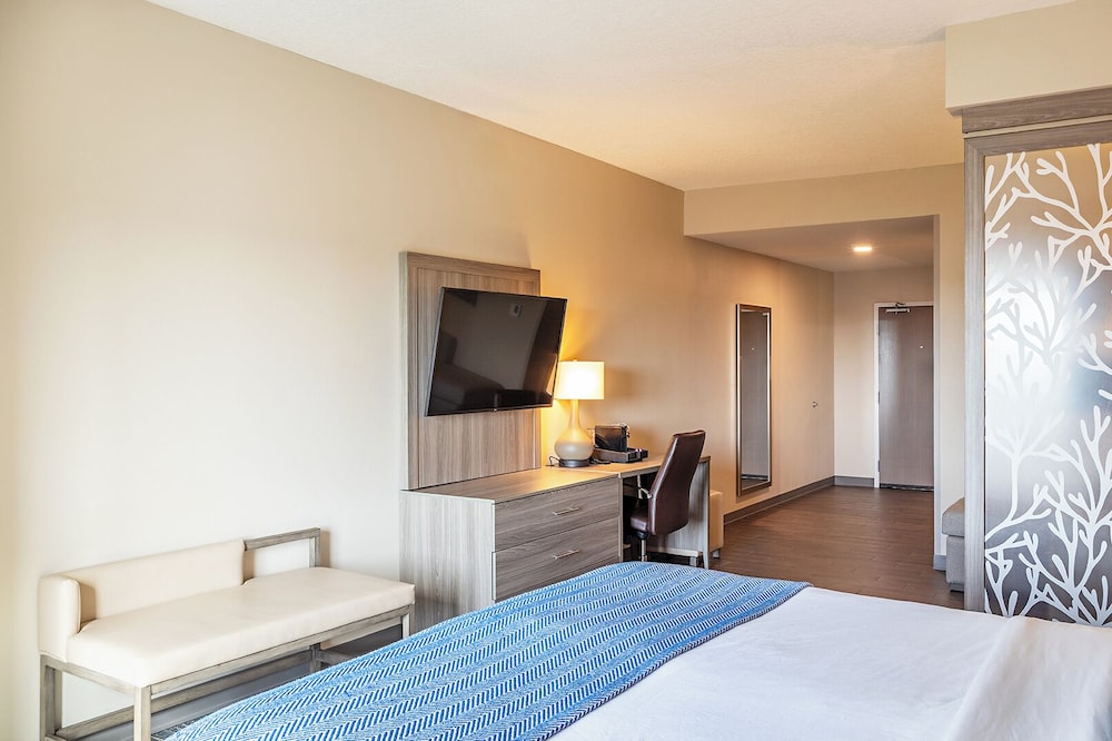Master, Suite, Triple, King Bed