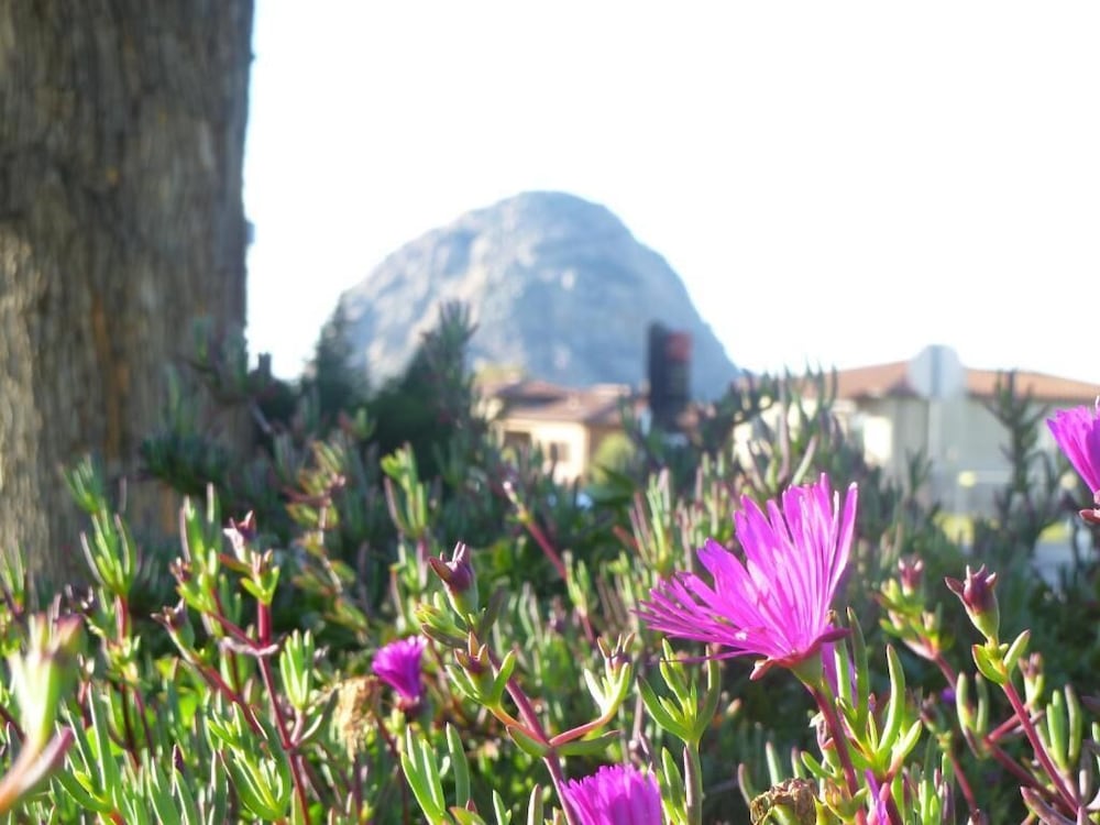 Morro Bay Sandpiper Inn 46/48