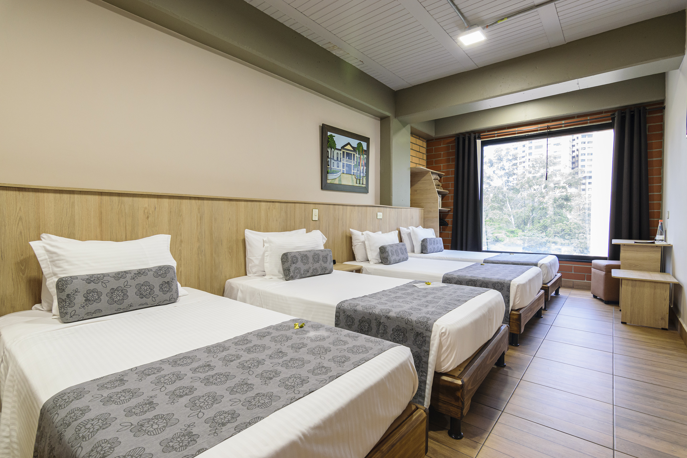 Hotel Natura Medellin 19/50