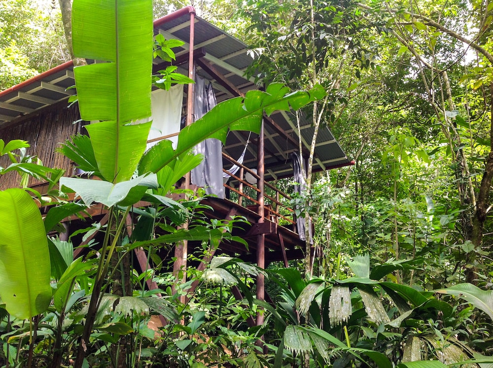 La Loma Jungle Lodge & Chocolate Farm 58/63