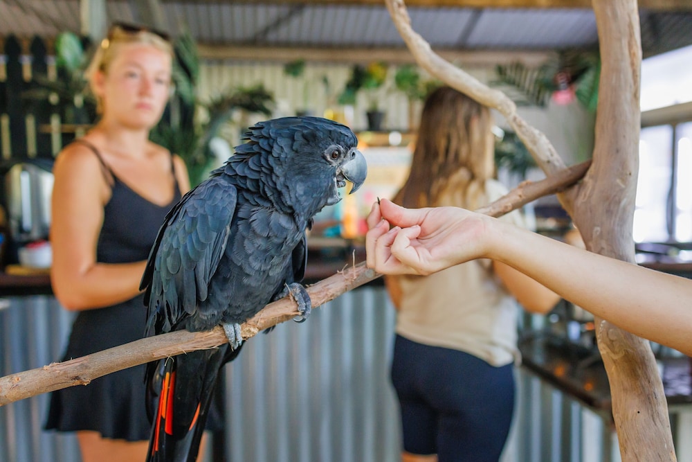 Selina Magnetic Island 18/50