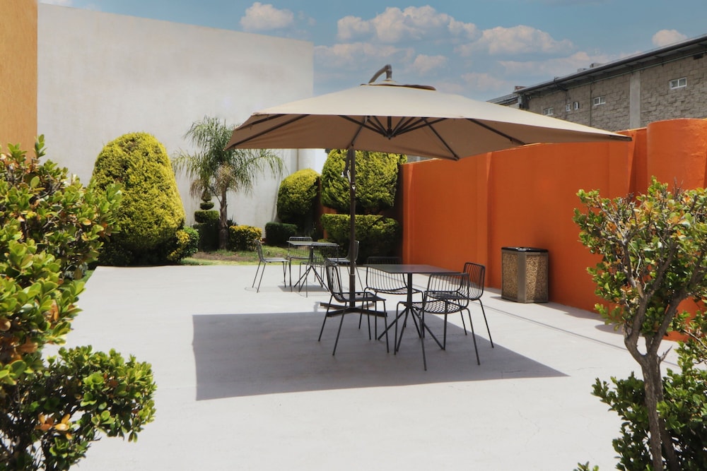 City Express Junior by Marriott Toluca Aeropuerto 3/50
