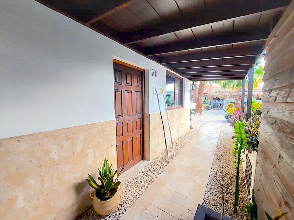 Lagunita Aruba 9/50