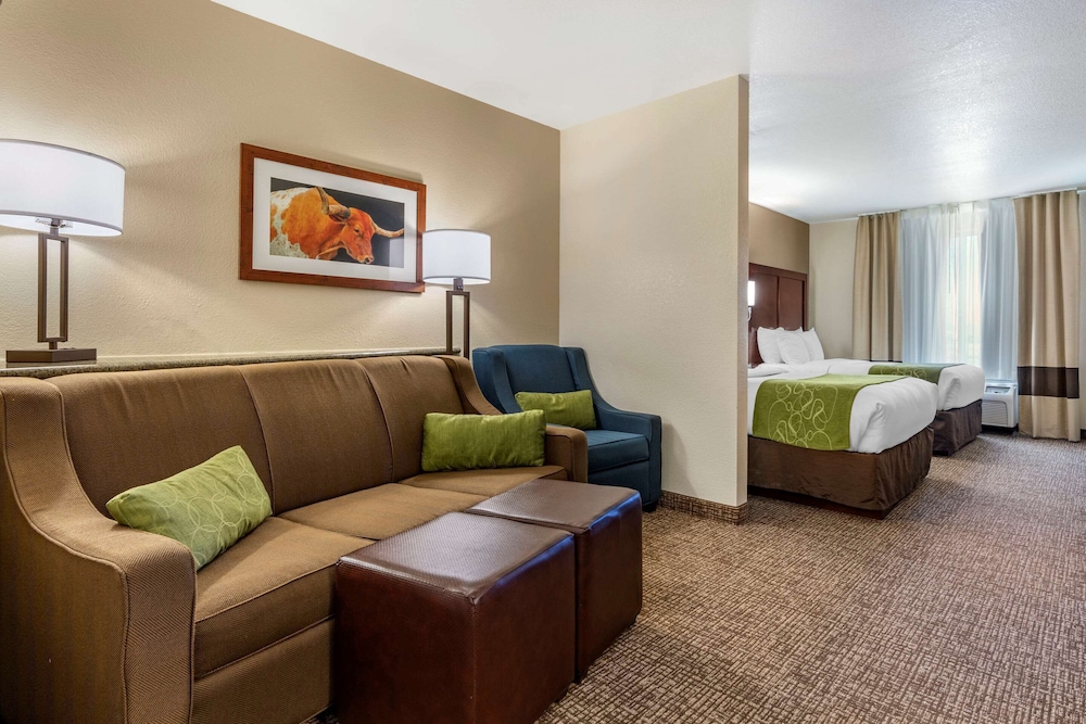 Comfort Suites Fernley 25/34