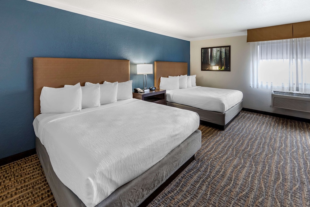 Best Western Town & Country Lodge 13/58